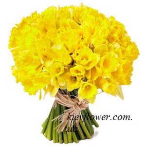 Brighten Your Day: 51 Daffodils Bouquet with Delivery