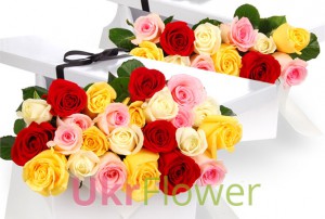 25 colored roses in gift box ― Ukrflower - flower delivery