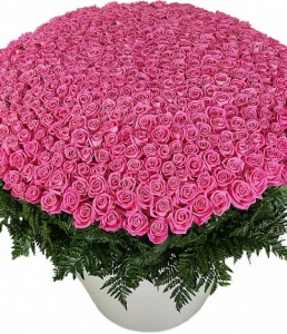 Bouquet of Roses "Pink Panther " ― Ukrflower - flower delivery