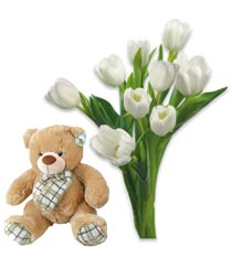 Bouquet of tulips and Bear