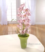 Wild orchid arrangement