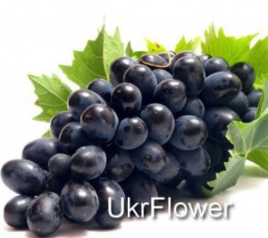 Black grapes ― Ukrflower - flower delivery
