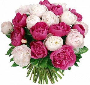 Bouquet of Peonies ― Ukrflower - flower delivery