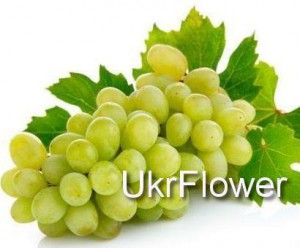 Green grapes ― Ukrflower - flower delivery