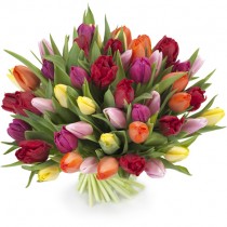 Bouquet of Tulips "Rainbow "- 51 pcs.