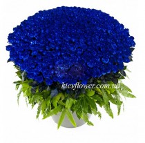 Basket of 101 blue roses "Ocean "
