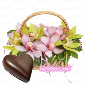 Basket with orchids + a gift! ― Ukrflower - flower delivery