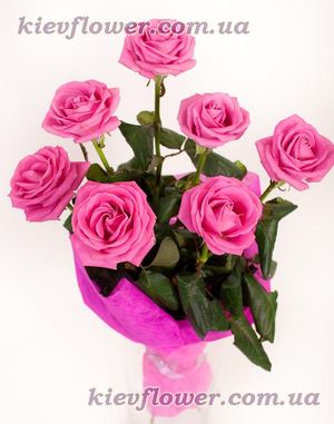 7 purple roses "Aqua " ― Ukrflower - flower delivery