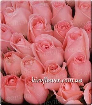 Titanic Rose ― Ukrflower - flower delivery