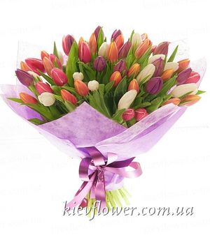 Mixed color 75 tulips  ― Ukrflower - flower delivery