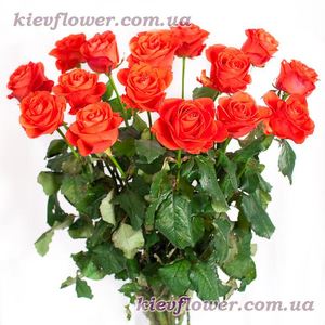 Coral roses ― Ukrflower - flower delivery