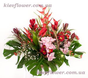 Exotic Basket "Red Luxury " ― Ukrflower - flower delivery