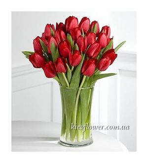 Bouquet of 31 red tulip ― Ukrflower - flower delivery