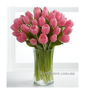 Bouquet of 35 pink tulips ― Ukrflower - flower delivery