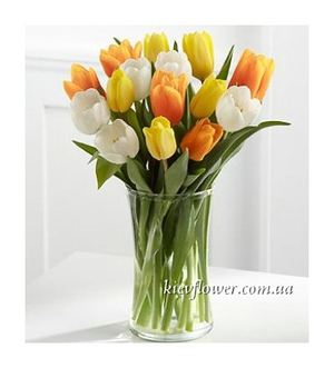 19 mixed-coloured tulips ― Ukrflower - flower delivery