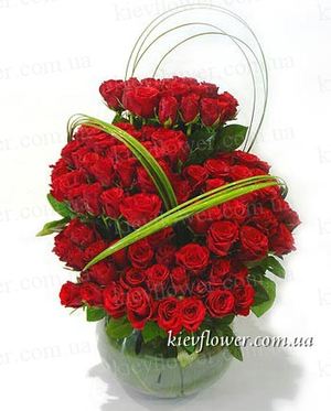 Composition of 75 roses "Carmen " ― Ukrflower - flower delivery