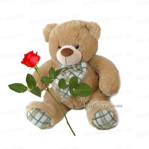 Bear with rose ― Ukrflower - flower delivery