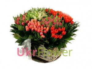 Basket of tulips "Rainbow " ― Ukrflower - flower delivery