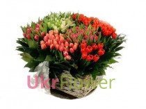 Basket of tulips "Rainbow "