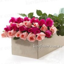 25 roses in a gift box (Rosa Ecuador)