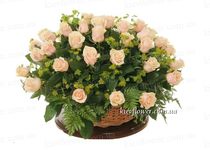 Basket of 51 cream roses