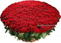 Basket of 501 Roses "LUX "