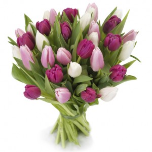 You're beautiful! (35 tulips) ― Ukrflower - flower delivery