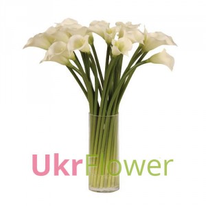 15 white callas in vase ― Ukrflower - flower delivery