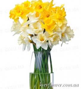Spring's Embrace: Bouquet of Narcissus with Delivery in Ukraine