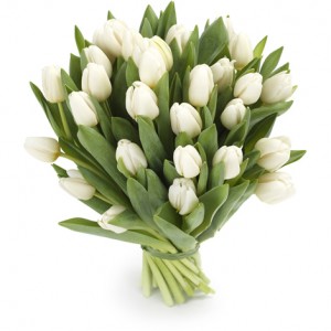 Bouquet of 31 white tulips ― Ukrflower - flower delivery