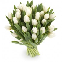 Bouquet of 31 white tulips