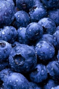 blueberries ― Ukrflower - flower delivery