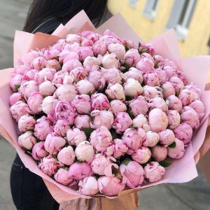 Pink peonies 101 ― Ukrflower - flower delivery