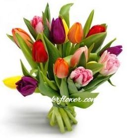 11 mixed coloured tulips ― Ukrflower - flower delivery