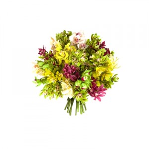 Bunch of Orchids ― Ukrflower - flower delivery
