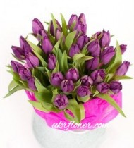 25 purple tulips
