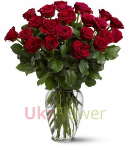 25 red roses ― Ukrflower - flower delivery
