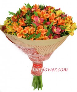 Bouquet of Alstromeria ― Ukrflower - flower delivery