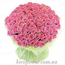 Special offer - 101 pink rose