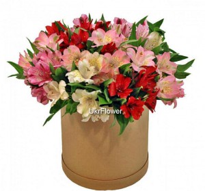 Alstroemeria in the gift box ― Ukrflower - flower delivery