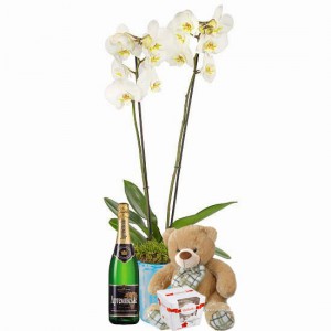 Orchid gift set ― Ukrflower - flower delivery