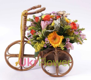 Funny trip ― Ukrflower - flower delivery