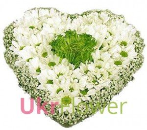 Heart "Chamomile happiness " ― Ukrflower - flower delivery