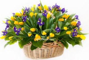 Spring mood ― Ukrflower - flower delivery