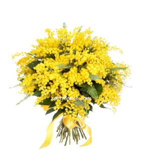 Mimosa bouquet ― Ukrflower - flower delivery