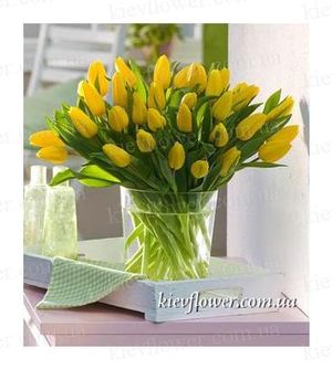 51 yellow tulip ― Ukrflower - flower delivery