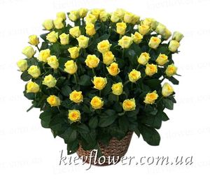 75 roses in a basket ― Ukrflower - flower delivery