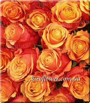 Rose Cherry Brandy ― Ukrflower - flower delivery