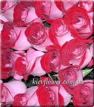 Latin Lady Rose ― Ukrflower - flower delivery