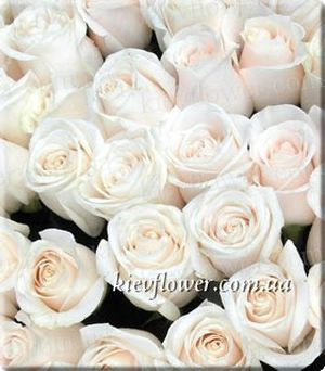 Rose Vendella ― Ukrflower - flower delivery